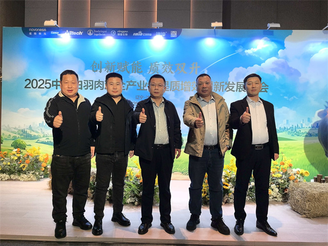 产业大会  肉鸡